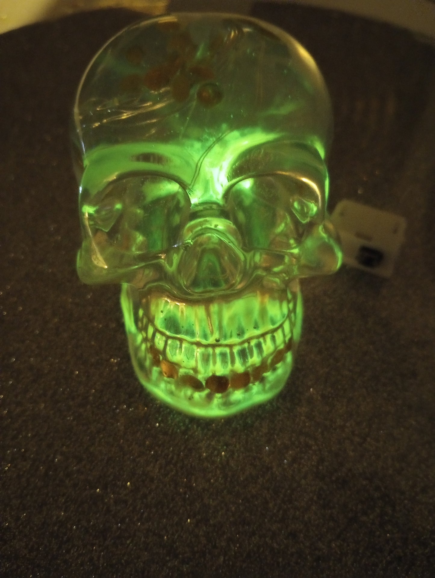 Clear skull with lights