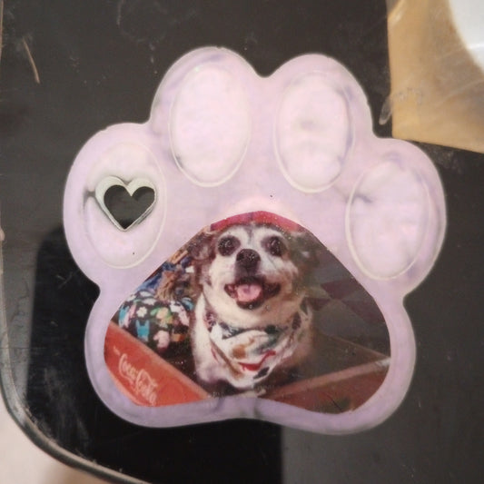 Memorial Pet Keychain