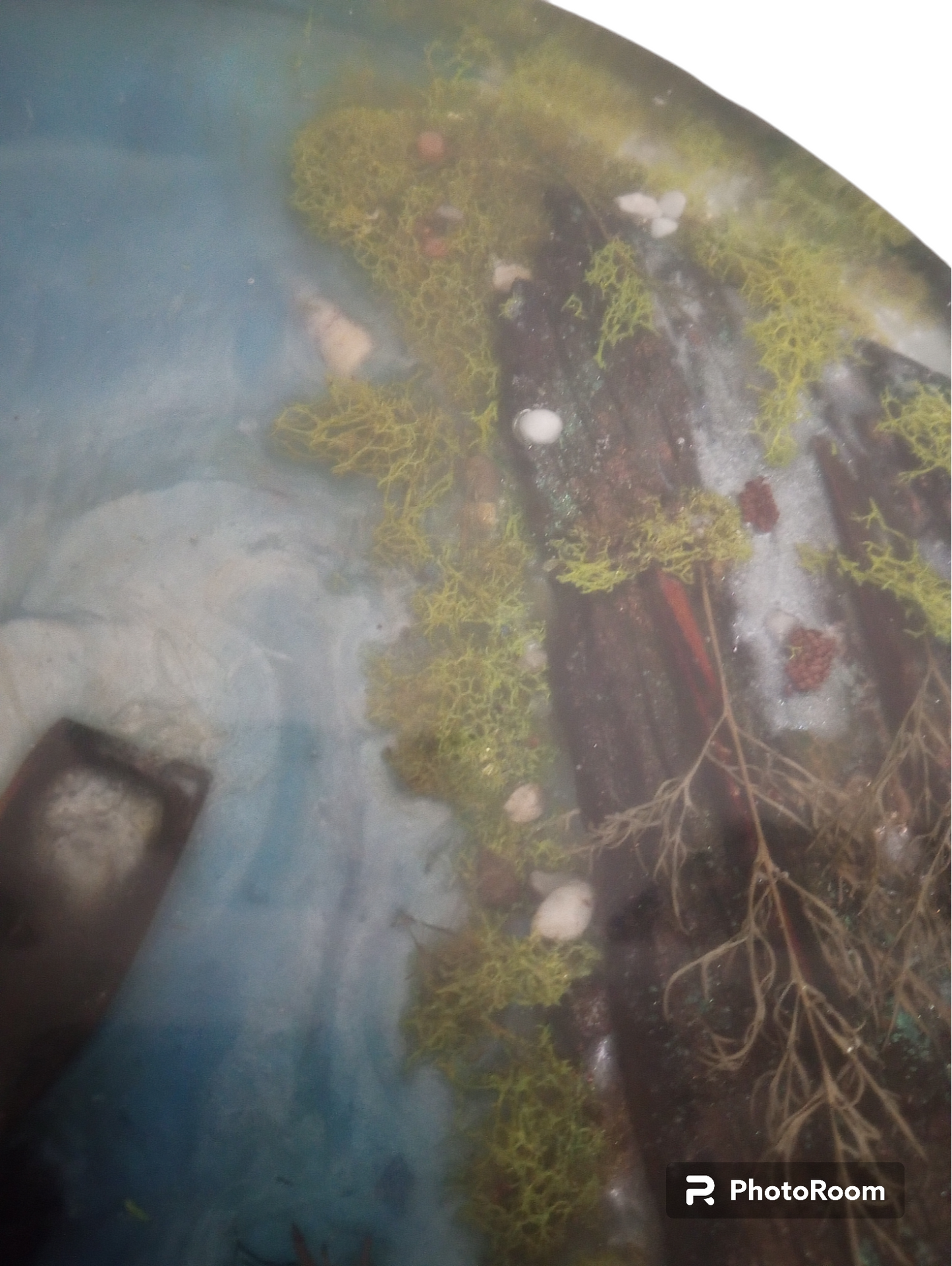 Fallen Trees River End Table